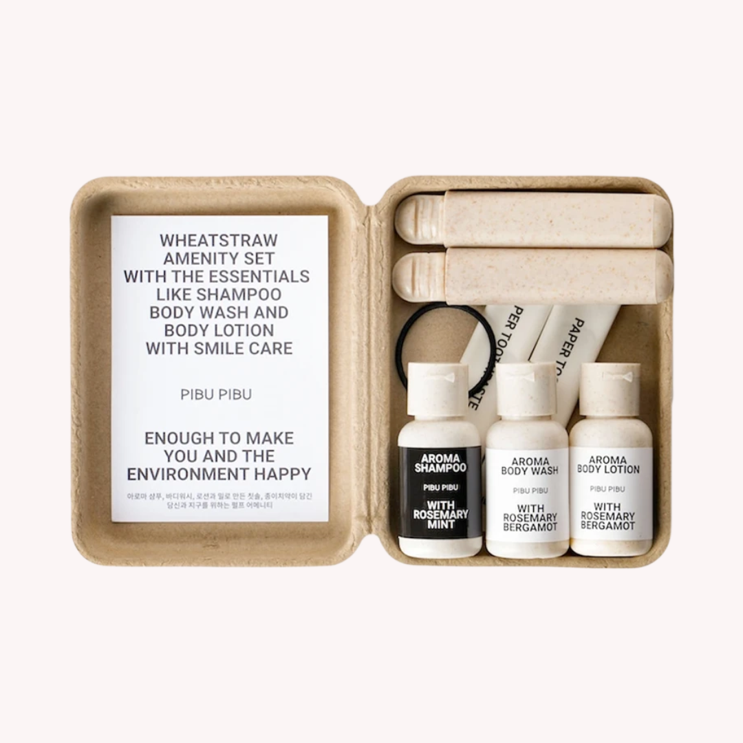 Eco-Friendly Travel Kit