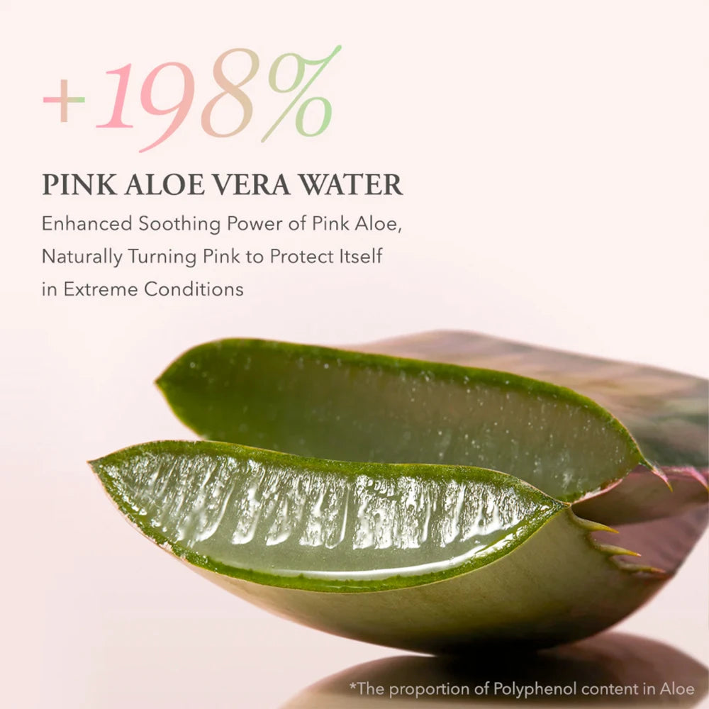 Pink Aloe Pack Cleanser