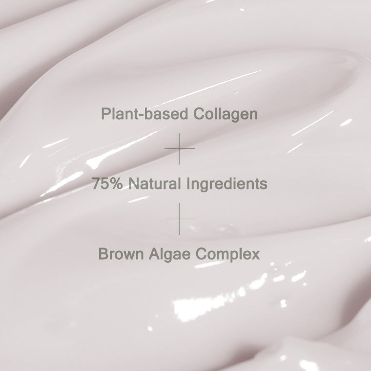 Phyto Plump Collagen Night Cream