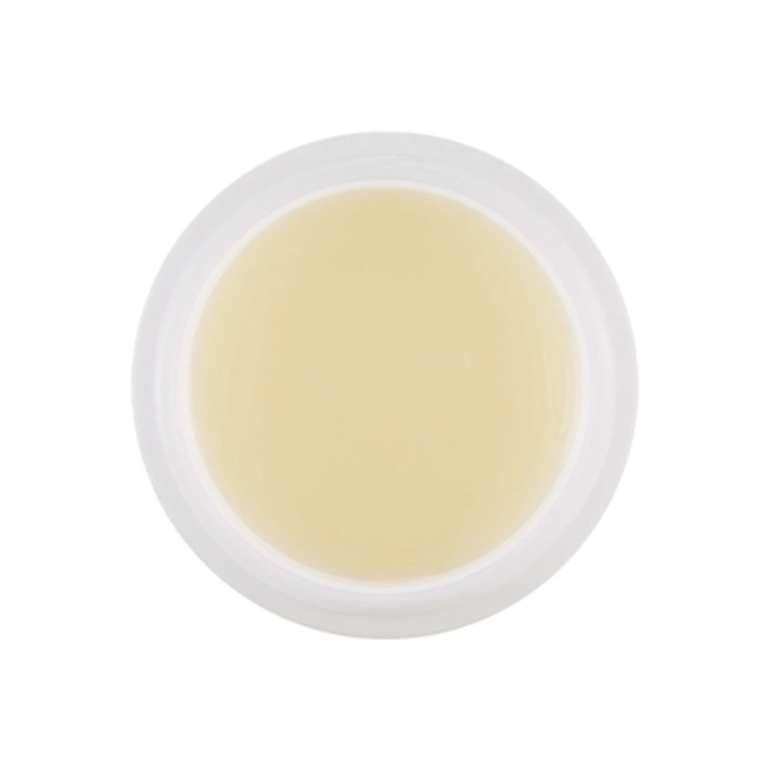 Honey & Milk Lip Sleeping Pack