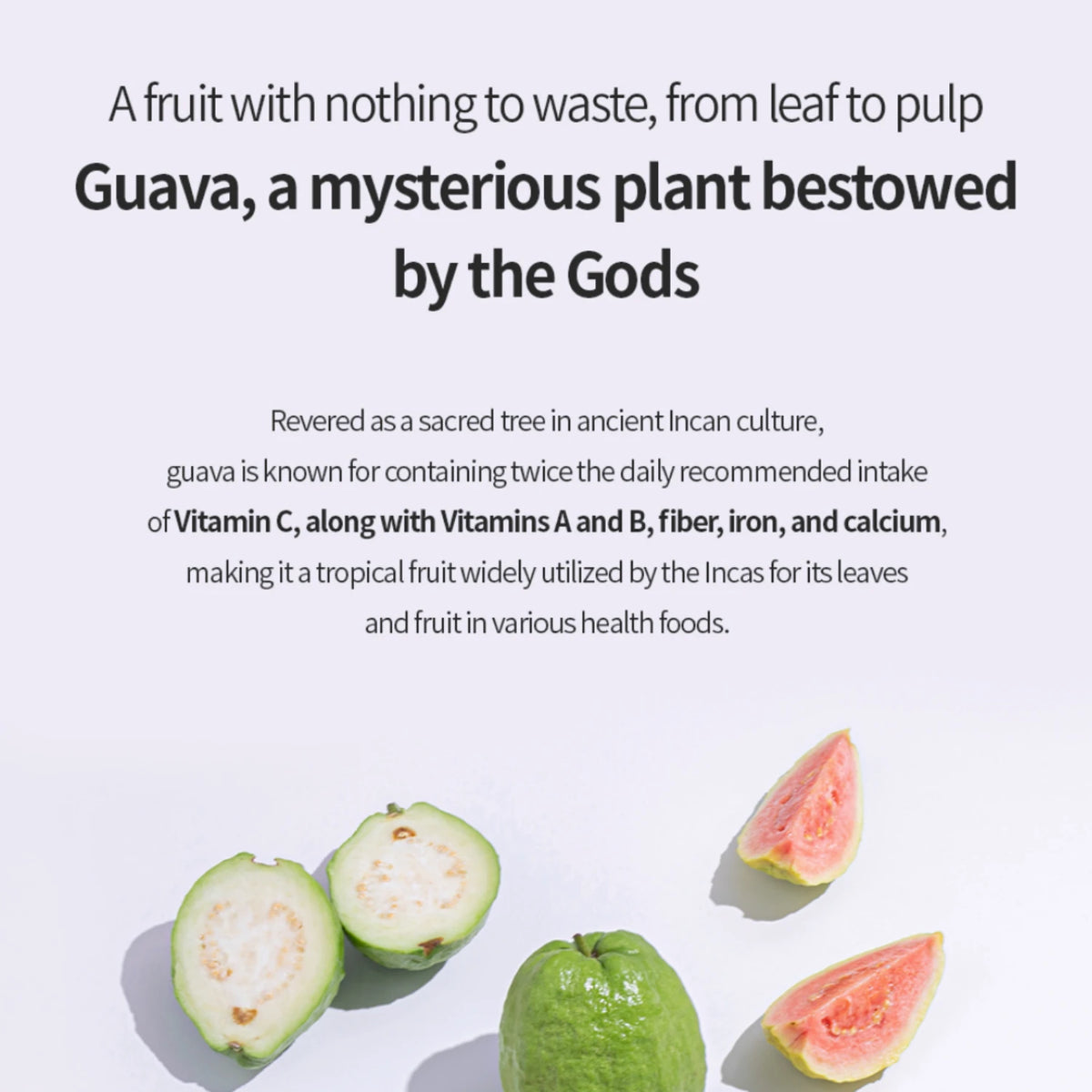 Guava Moisture Soothing Cream