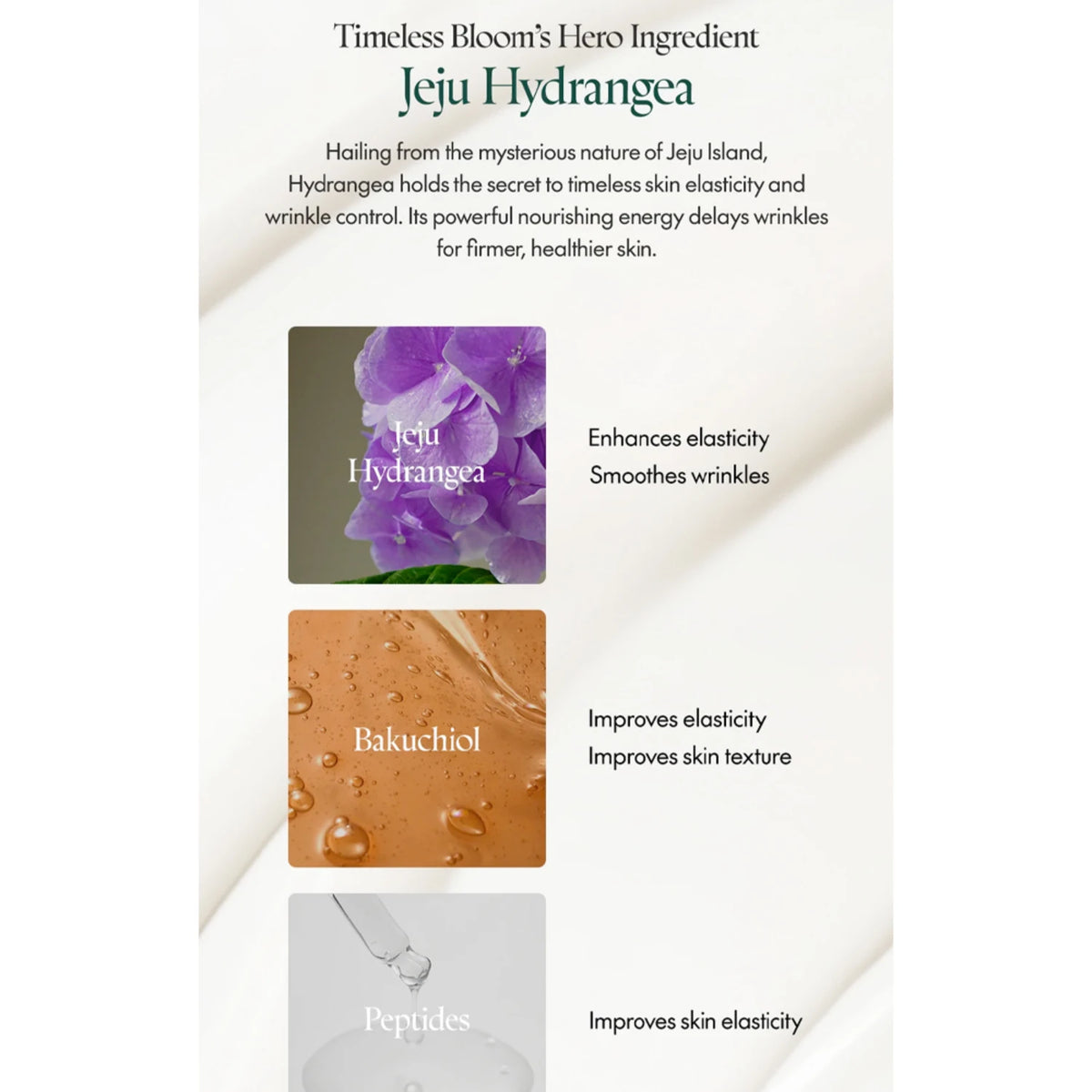 Timeless Bloom Retinol Spot Cream